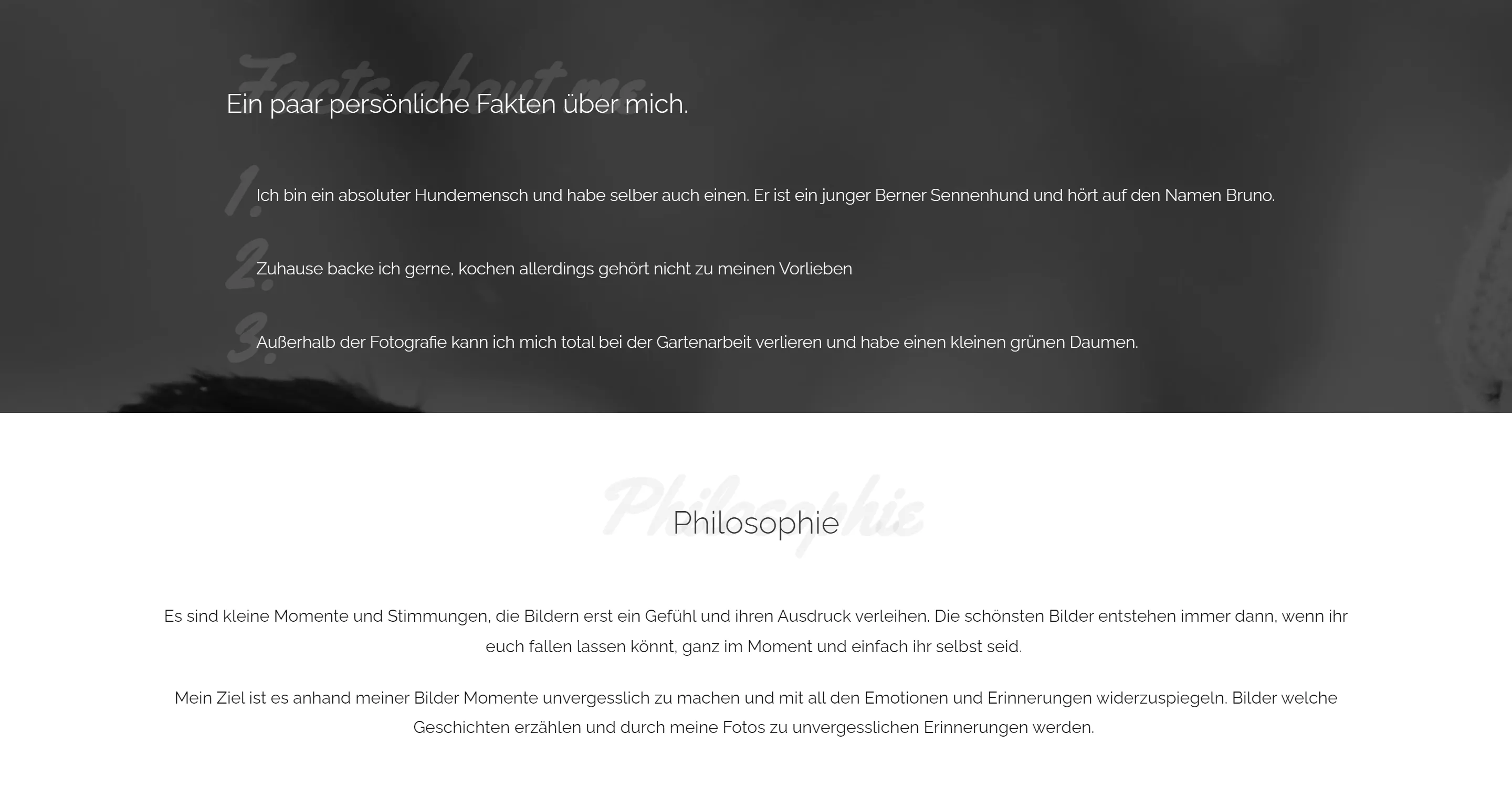 Joker Systems Webdesign