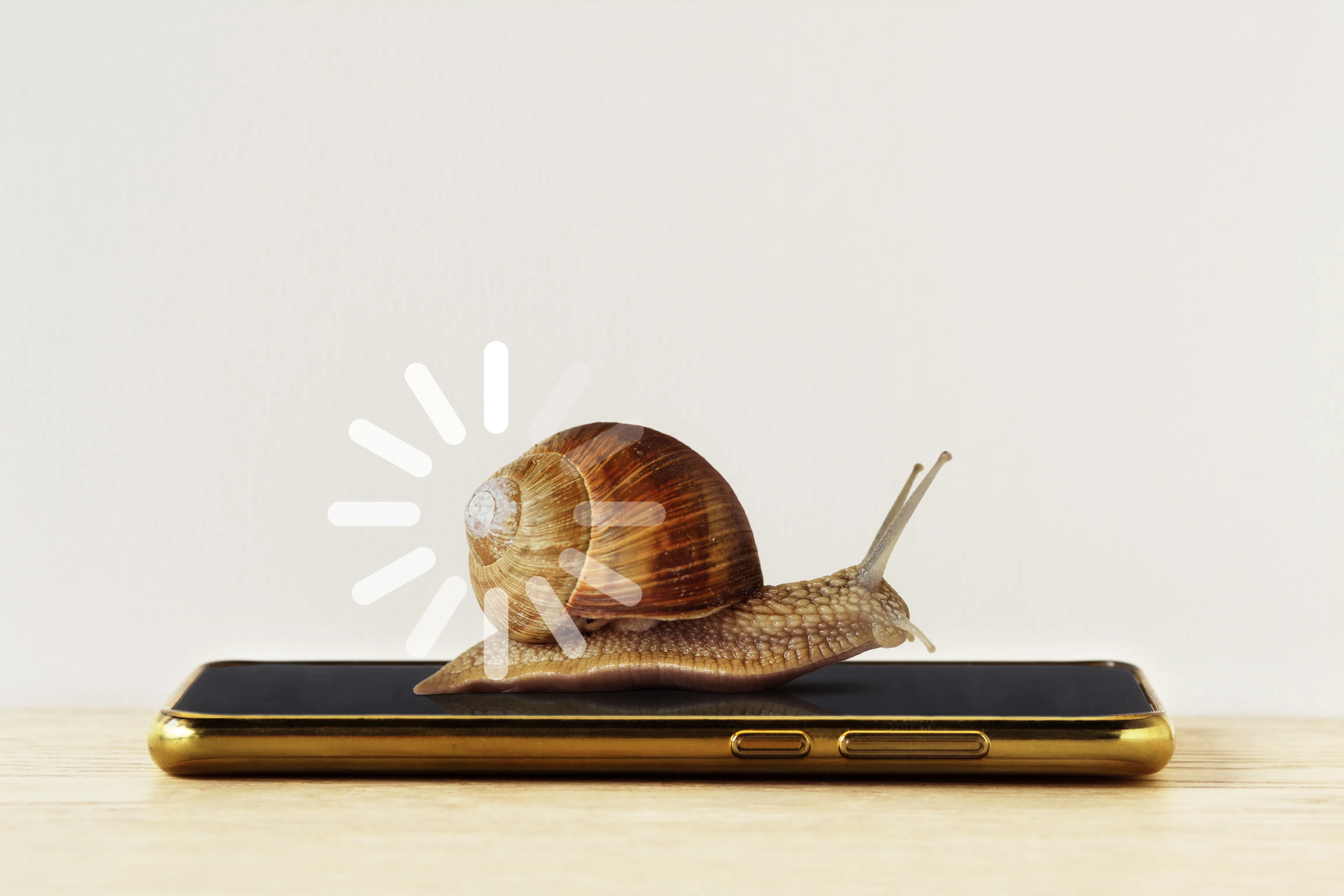 Langsame Webdesign-Leistung: Schnecke auf goldenem Smartphone