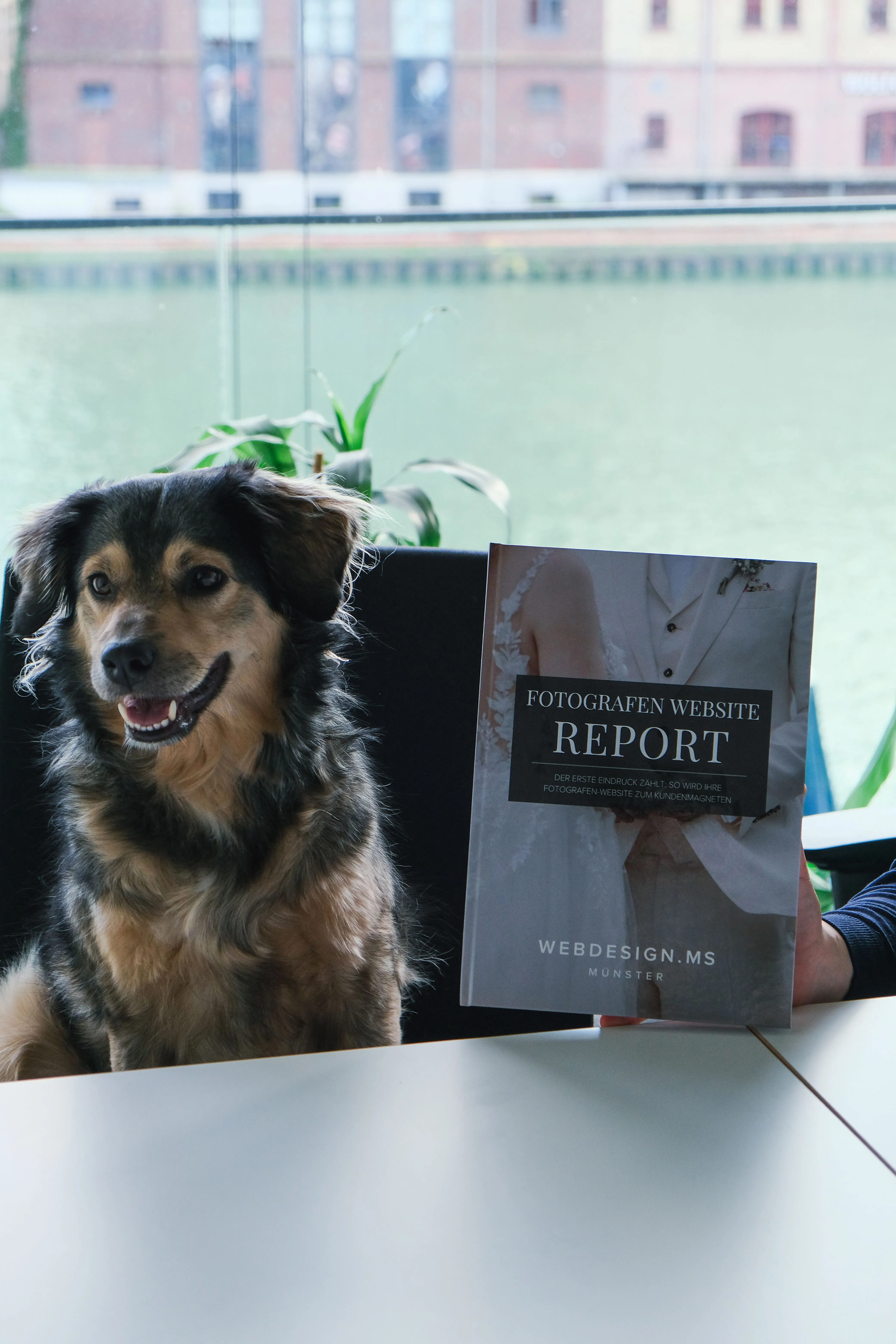 Lächelnder Hund neben Webdesign-Broschüre von Münster mit Fotografie-Report