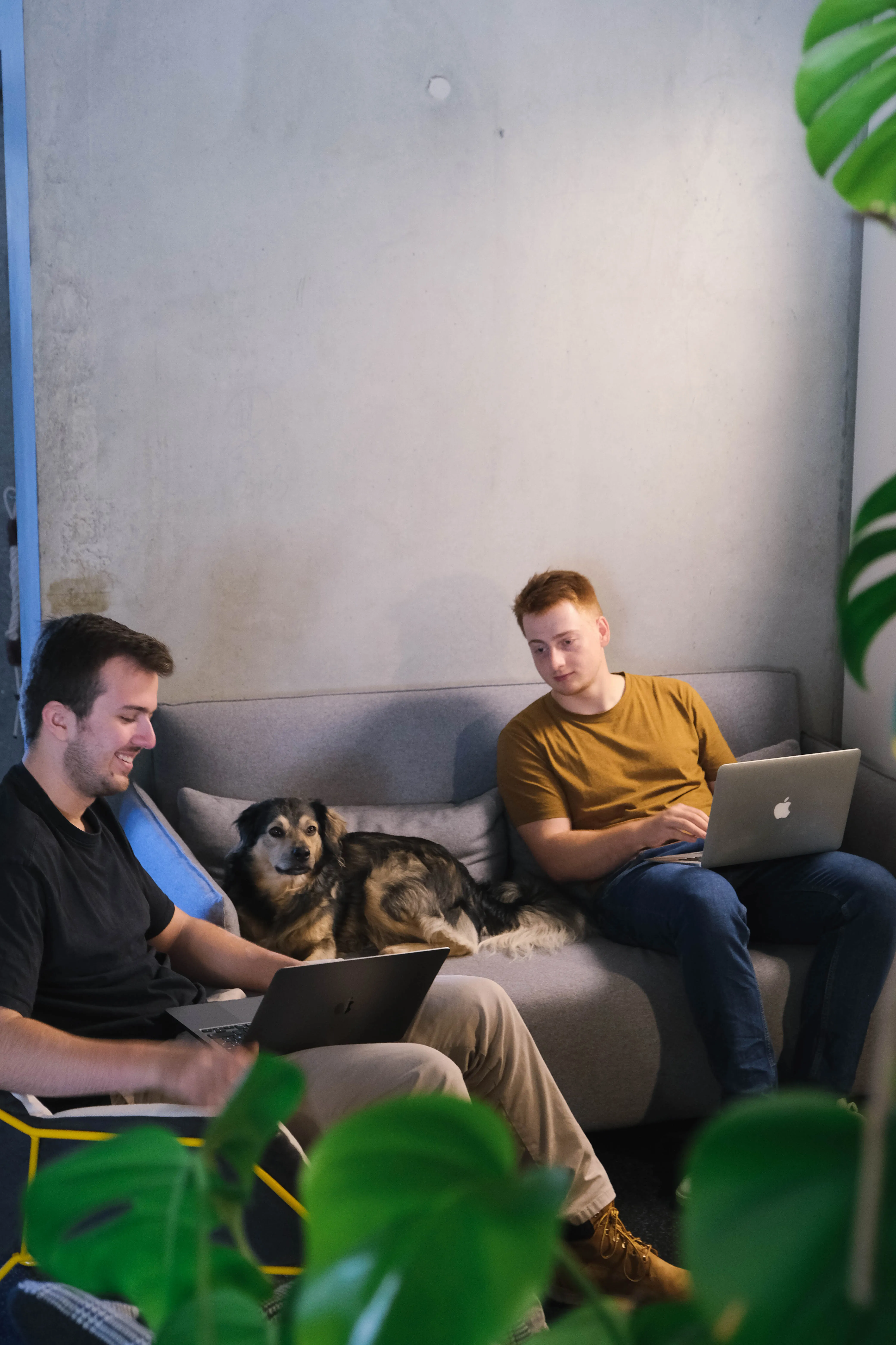 Webdesign-Team in Münster arbeitet entspannt mit Hund auf gemütlichem Sofa