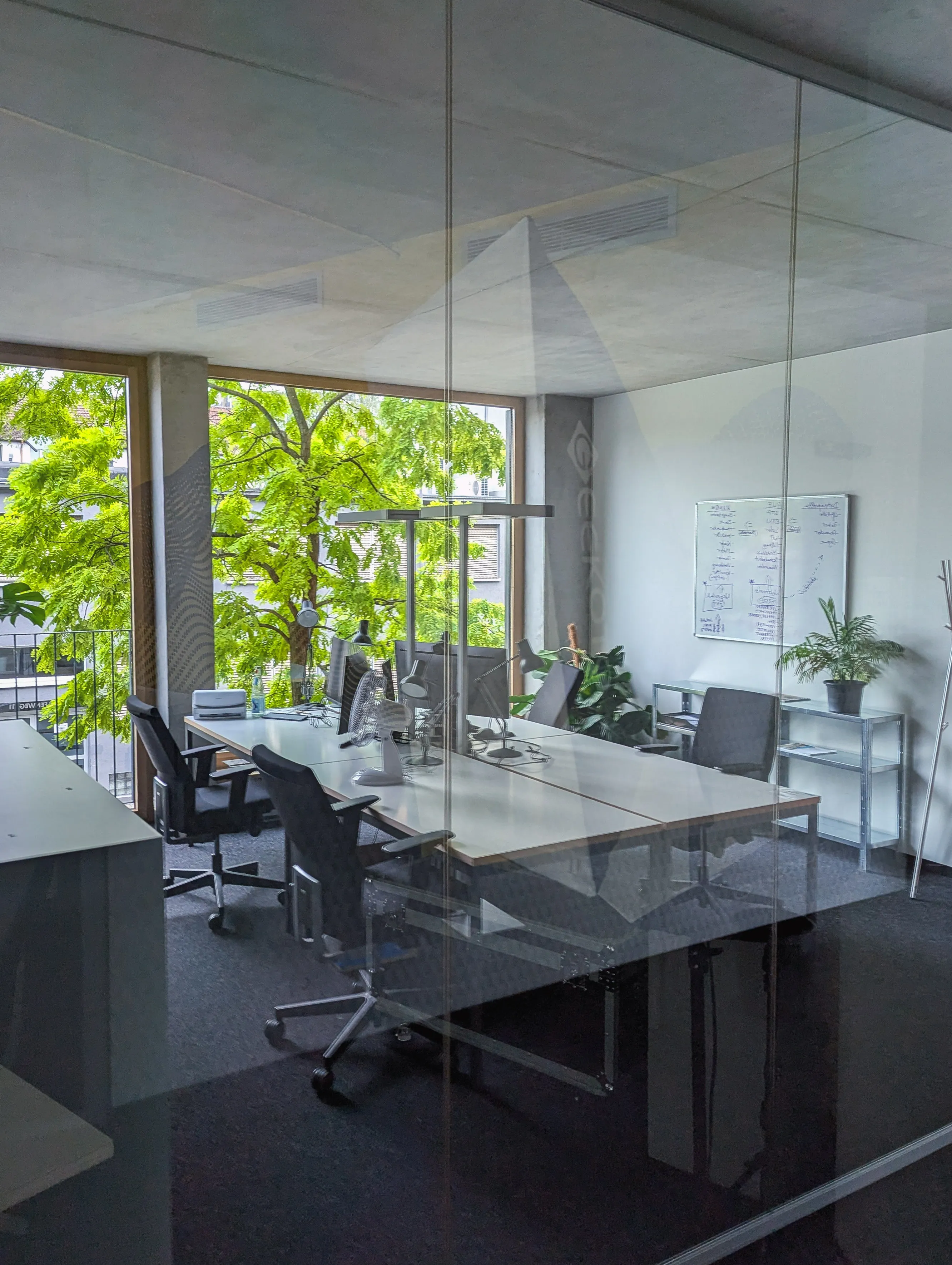Modernes Webdesign-Büro in Münster mit Glaswänden und grünem Baumblick
