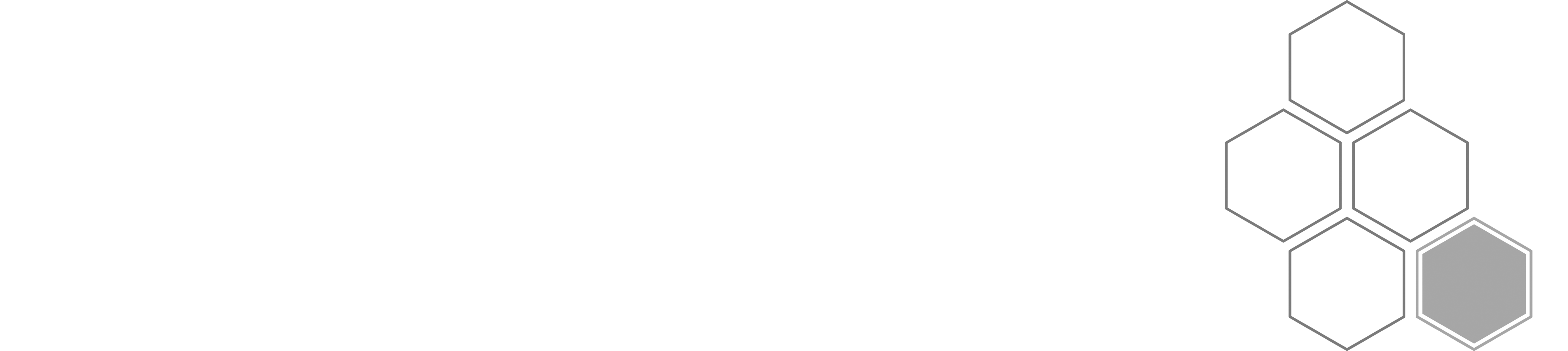 Abstraktes Webdesign-Logo mit Hexagonstruktur für Münster-basiertes Unternehmen